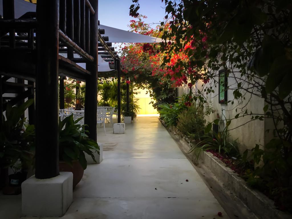 산타마르타 Casa Ines B&B 외부 사진